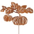 Floristik24 Tuteur de jardin à motif citrouille, décoration en métal, finition rouille, 100 cm