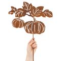Tuteur de jardin à motif citrouille, décoration en métal, finition rouille, 100 cm | Floristik24.be