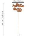 Tuteur de jardin à motif citrouille, décoration en métal, finition rouille, 100 cm | Floristik24.be