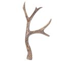 Bois de cerf décoratifs
