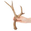 Bois de cerf artificiels, réalistes, rustiques, 32 cm | Floristik24.be