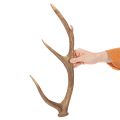 Bois de cerf artificiels décoratifs, décoration rustique pour chalet, 50 cm | Floristik24.be