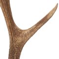 Bois de cerf artificiels