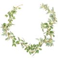 Floristik24 Guirlande artificielle à feuilles panachées, 175 cm