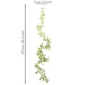 Guirlande artificielle à feuilles panachées, 175 cm | Floristik24.be