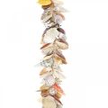 Floristik24 Cintre décoratif avec coquillages, guirlande maritime, coquillages et coquilles d&#39;escargots 85cm