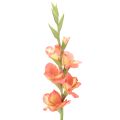 Floristik24 Glaïeuls artificiels à nombreuses fleurs pour bouquet, 88 cm
