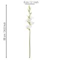 Glaïeul artificiel, à longue tige, pour vases, 88 cm | Floristik24.be