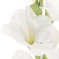 Glaïeul artificiel, à longue tige, pour vases, 88 cm | Floristik24.be