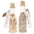 Floristik24 Bouteille décorative en verre avec coquillages et pendentif, décoration de table marine, 17 cm, 2 pièces