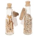 Bouteille décorative en verre avec coquillages et pendentif, décoration de table marine, 17 cm, 2 pièces | Floristik24.be