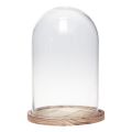 Floristik24 Cloche en verre avec plaque en bois décor verre Ø17cm H25cm