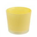 Floristik24 Cache-pot en verre cache-pot jaune pot en verre Ø14.5cm H12.5cm