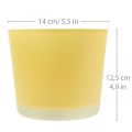 Floristik24 Cache-pot en verre cache-pot jaune pot en verre Ø14.5cm H12.5cm