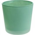 Floristik24 Cache-pot en verre jardinière verte pot en verre Ø11.5cm H11cm