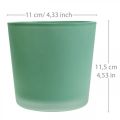 Floristik24 Cache-pot en verre jardinière verte pot en verre Ø11.5cm H11cm