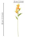 Fleurs artificielles Gloriosa orange à longues tiges pour vases, 80 cm, lot de 3 | Floristik24.be