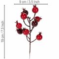 Branche de grenadier artificielle à tiges ramifiées, idéale pour la décoration de vases, 19 cm, lot de 4. | Floristik24.be