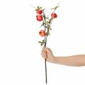 Branche de grenadier artificielle, idéale comme décoration de table, 68 cm. | Floristik24.be