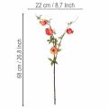 Branche de grenadier artificielle, idéale comme décoration de table, 68 cm. | Floristik24.be