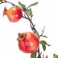Branche de grenadier artificielle, idéale comme décoration de table, 68 cm. | Floristik24.be
