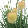 Floristik24 Herbe à fleurs en pot artificiel jaune 70cm