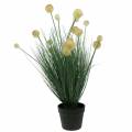 Floristik24 Herbe à fleurs en pot artificiel jaune 70cm