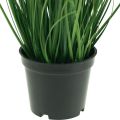 Floristik24 Plante en pot artificielle de gazon artificiel d&#39;herbe tremblante 36 cm