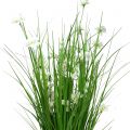 Floristik24 Touffes d’herbe avec fleurs blanches 70 cm