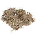 Floristik24 Mousse décorative grise pour loisirs créatifs, 500 g
