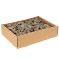 Mousse décorative grise pour loisirs créatifs, 500 g | Floristik24.be