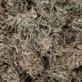 Mousse décorative grise pour loisirs créatifs, 500 g | Floristik24.be