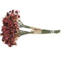 Floristik24 Gypsophile artificielle rouge fleurs artificielles automne 29.5cm 18pcs