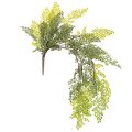 Floristik24 Branche de fougère artificielle, délicate, pour vase, 80 cm