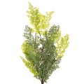 Branche de fougère artificielle, délicate, pour vase, 80 cm | Floristik24.be