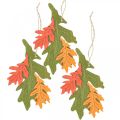 Floristik24 Pendentif décoratif d&#39;automne feuilles de bois feuille de chêne 17cm 6pcs
