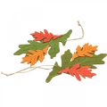 Floristik24 Pendentif décoratif d&#39;automne feuilles de bois feuille de chêne 17cm 6pcs