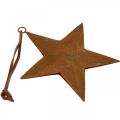 Floristik24 Pendentif de Noël étoile étoile en métal aspect rouille H13,5cm