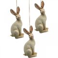Floristik24 Figurine lapin de Pâques à suspendre décoration de Pâques polyrésine H9,5cm 4pcs