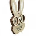 Floristik24 Pendentif en bois lapin avec lunettes carotte marron beige 4×7.5cm 9pcs