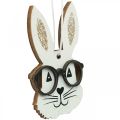Floristik24 Pendentif en bois lapin avec lunettes carotte paillettes 4×7,5cm 9pcs