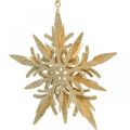 Floristik24 Flocon de neige, décoration de sapin de Noël, décoration de fenêtre Noël doré 12cm 4pcs
