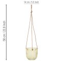 Pot suspendu en verre, pot décoratif en verre, style rétro, vert/marron, 14,5 cm, lot de 2 | Floristik24.be