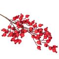 Branche d'églantier artificiel avec baies brillantes, 62 cm | Floristik24.be