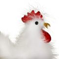 Floristik24 Coq poule avec plumes blanc 17cm, 21cm 2pcs