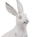 Floristik24 Lapin assis lapin décoratif pierre artificielle blanc gris H21,5cm