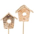Floristik24 Nichoir décoratif, bouleau, 5 cm, tuteurs pour fleurs, 4 pièces
