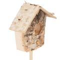 Nichoir décoratif, bouleau, 5
