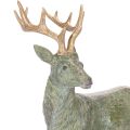 Figurine de cerf décorative, debout, détaillée, 43 cm | Floristik24.be