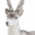 Déco cerf floqué/neigé 39cm | Floristik24.be